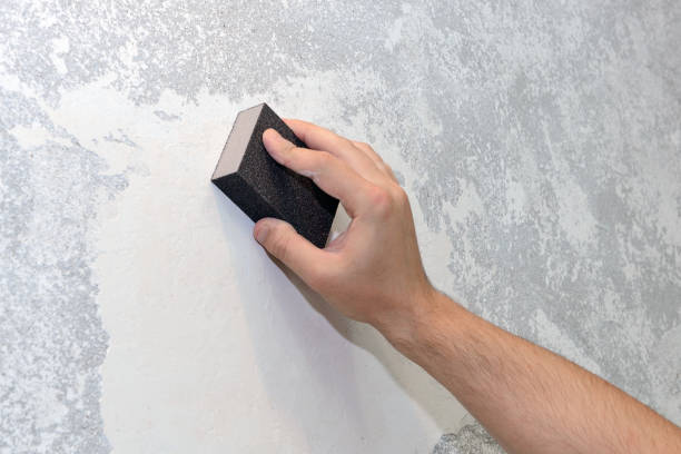 Best Environmental Consulting for Mold Prevention  in Monroe, GA