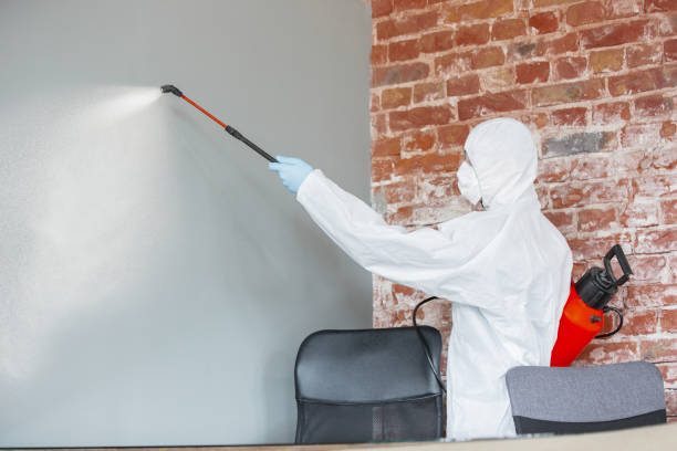 Best Forensic Mold Investigation  in Monroe, GA