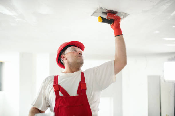 Best Biohazard Mold Removal  in Monroe, GA