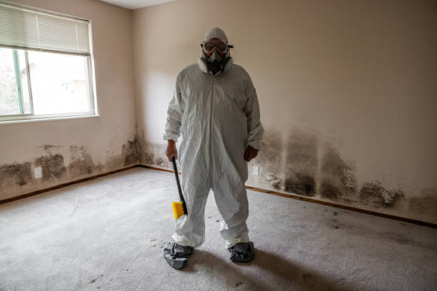 Trusted Monroe, GA Mold Removal Experts